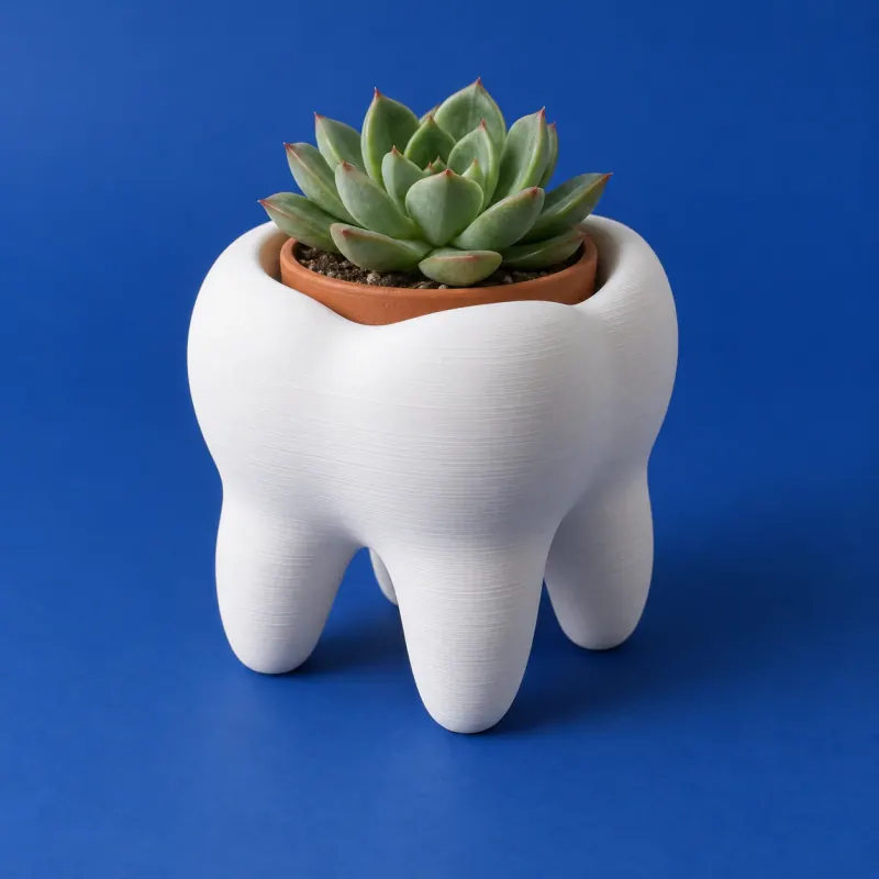 Conceito ilustrativo: Cachepô Dente